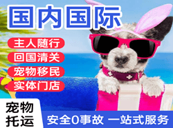 乌鲁木齐国际宠物托运 【国
